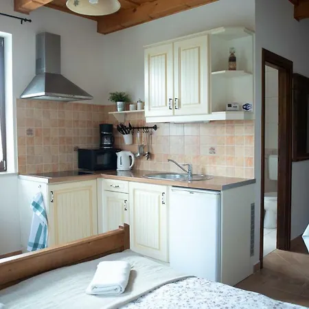 公寓 莱文杜洛公寓酒店